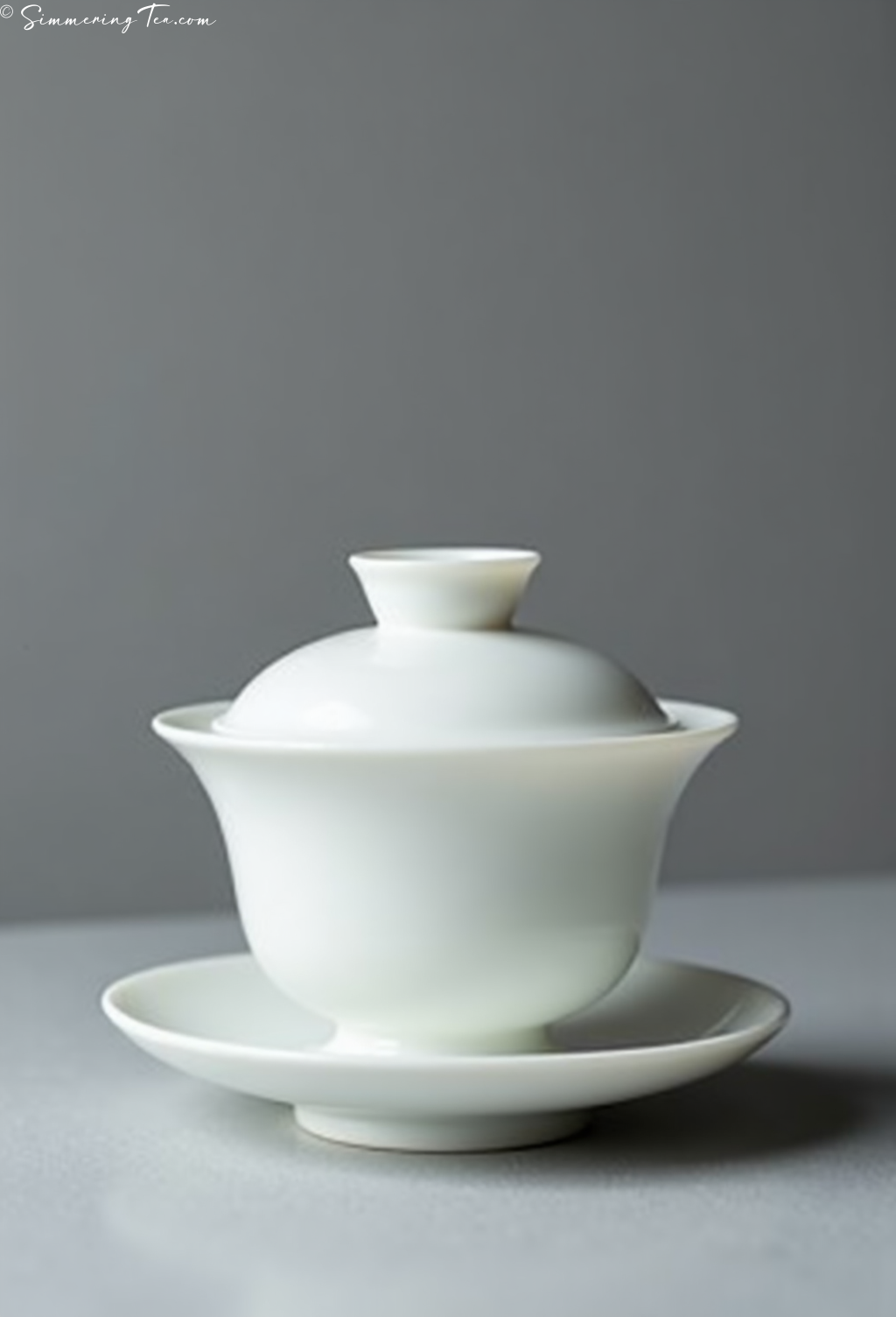 White Porcelain Gaiwan