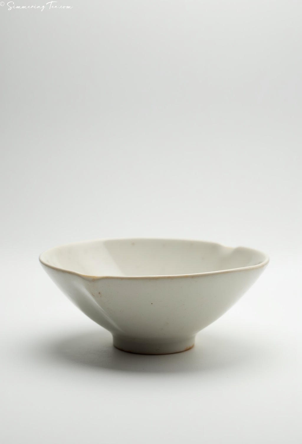 Modern Master Yixing Gaiwan